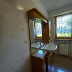 Sole Rovetta