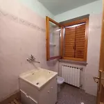 Sole Rovetta